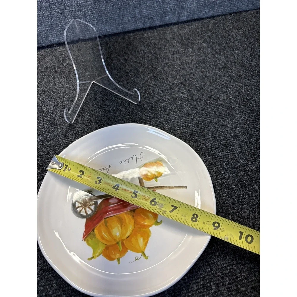 Pier 1~Autumn Bliss pUmpkins/Gourds~Salad/Lunch Plate~8.75